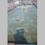 agra_taj_0456s.html
