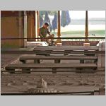 delhi_rf_0174s.html