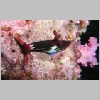 nudi-P1010229.html