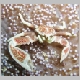 anemone-crab-WP1010149.html